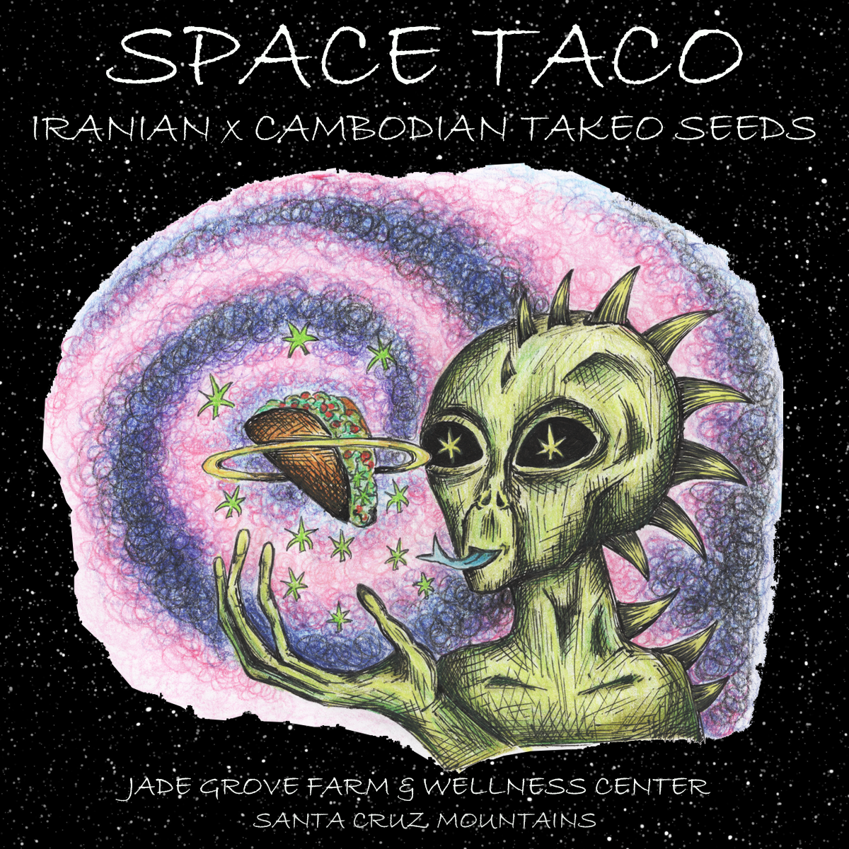 STICKER - SPACE TACO